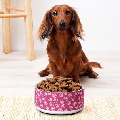 Premium Pet Bowl - Durable and Stylish Feeding Solution
