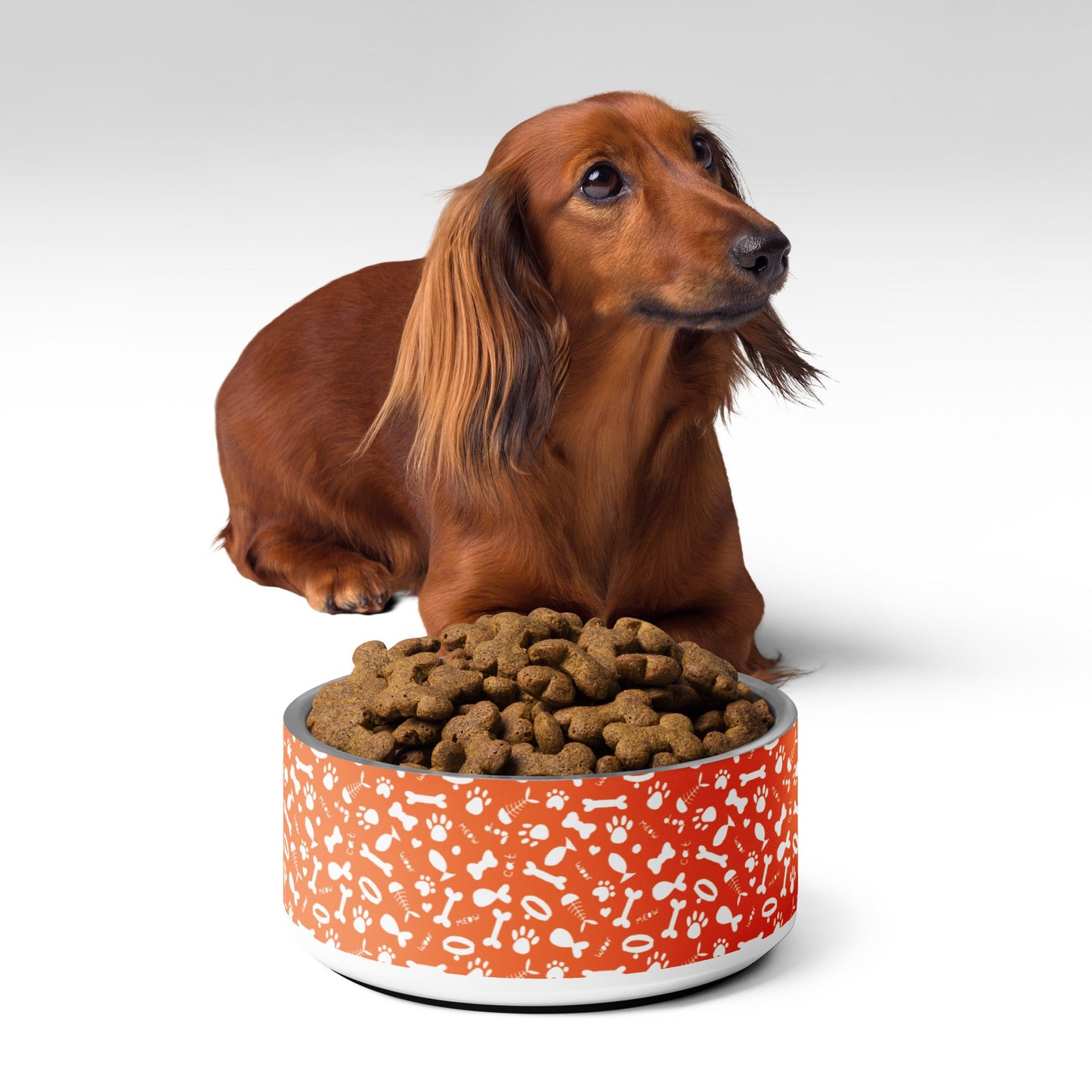 Orange Pet Bowl - Brighten Up Mealtime for Your Beloved Pet