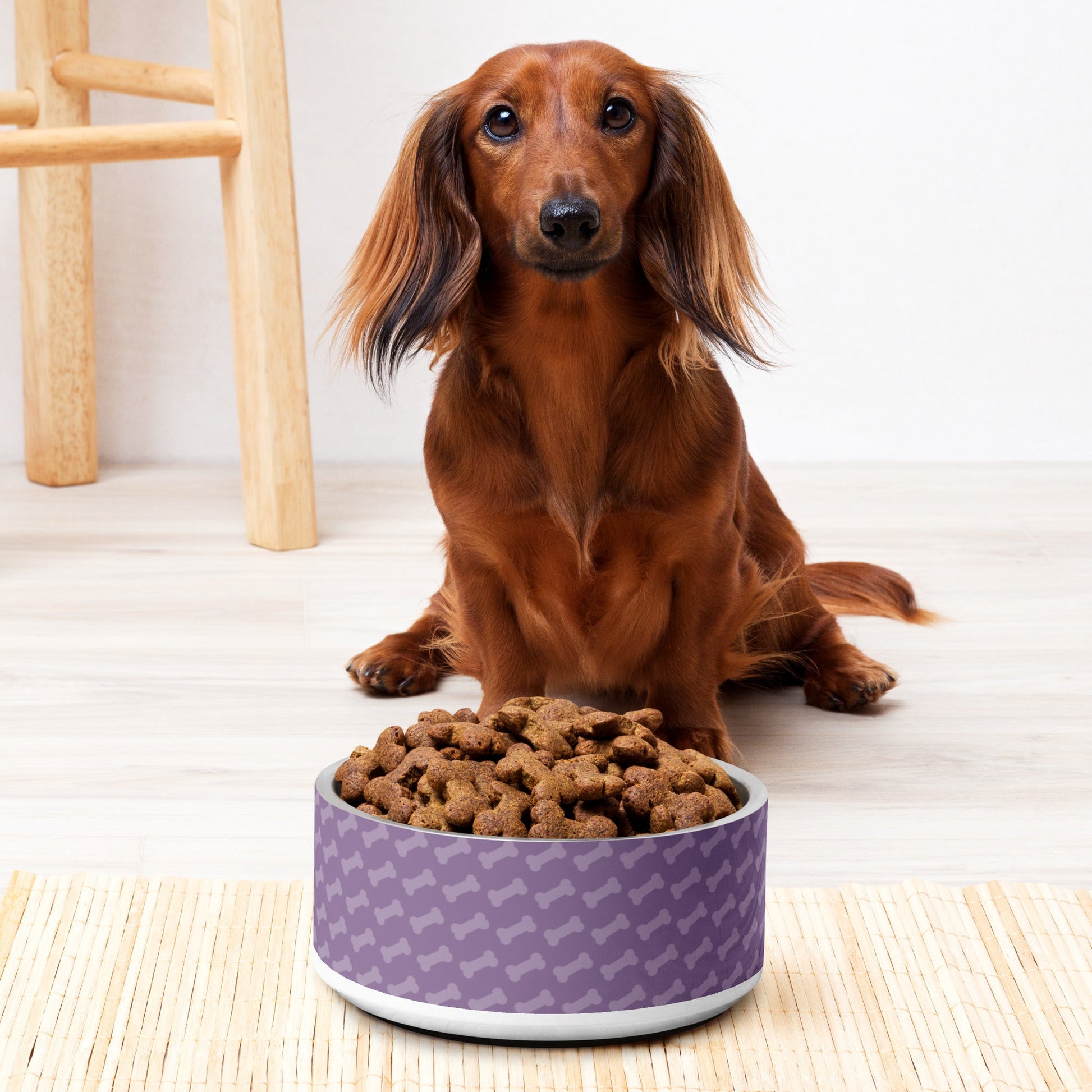 Purple Pet Bowl - Elegance and Functionality for Your Furry Friend