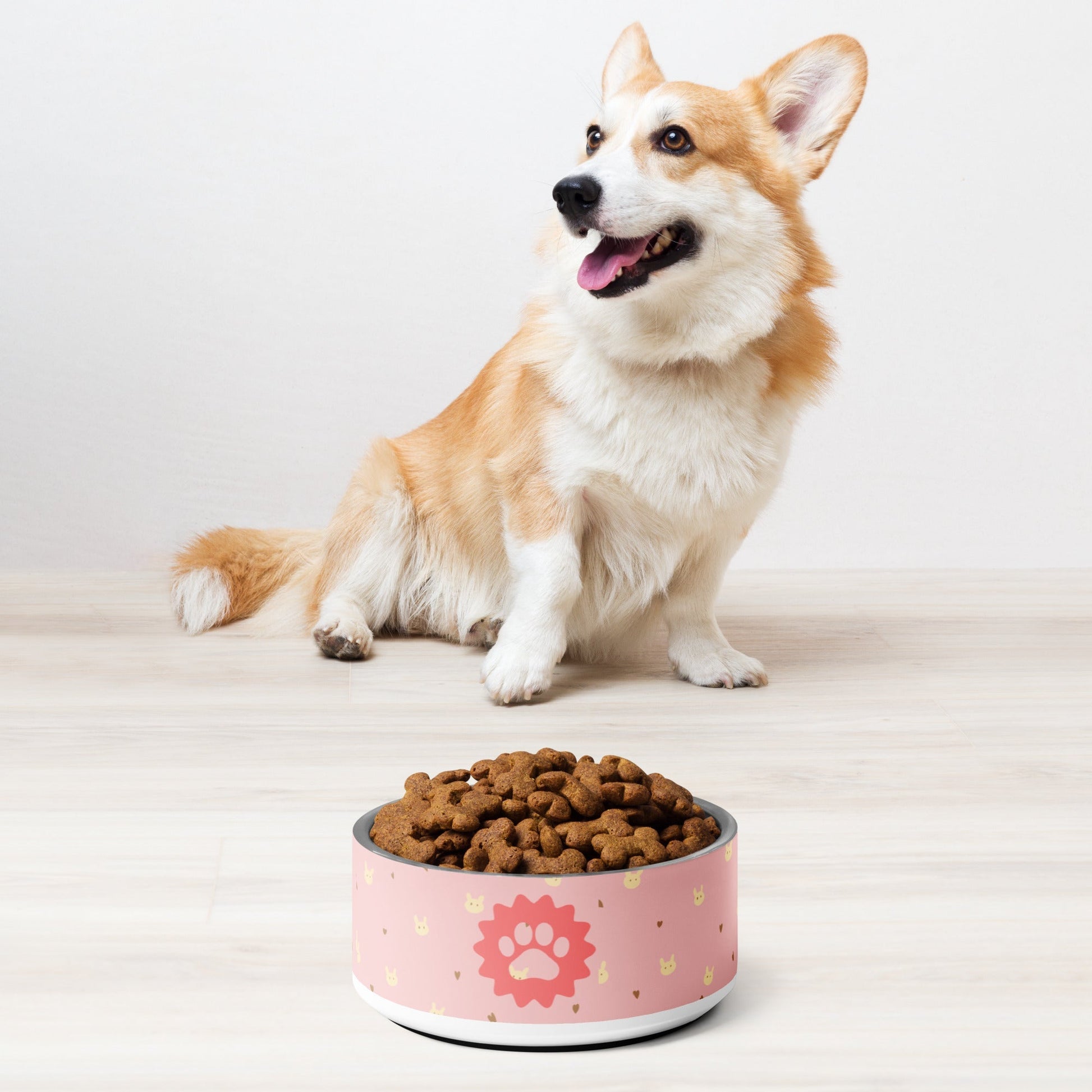 Pink Pet Bowl - Stylish and Functional Dining for Your Beloved Pet