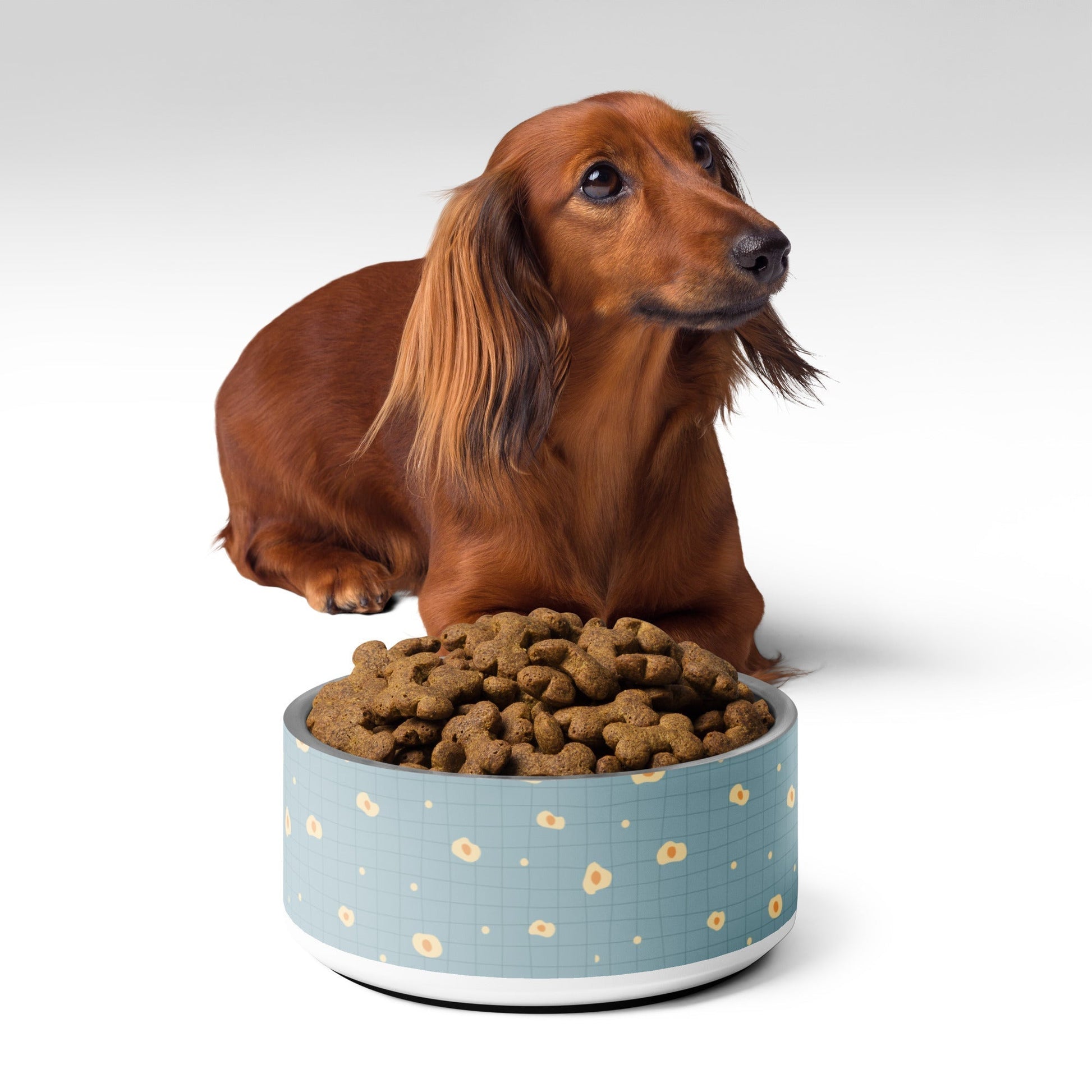 Sky Blue Pet Bowl - Elevate Your Pet's Dining Experience