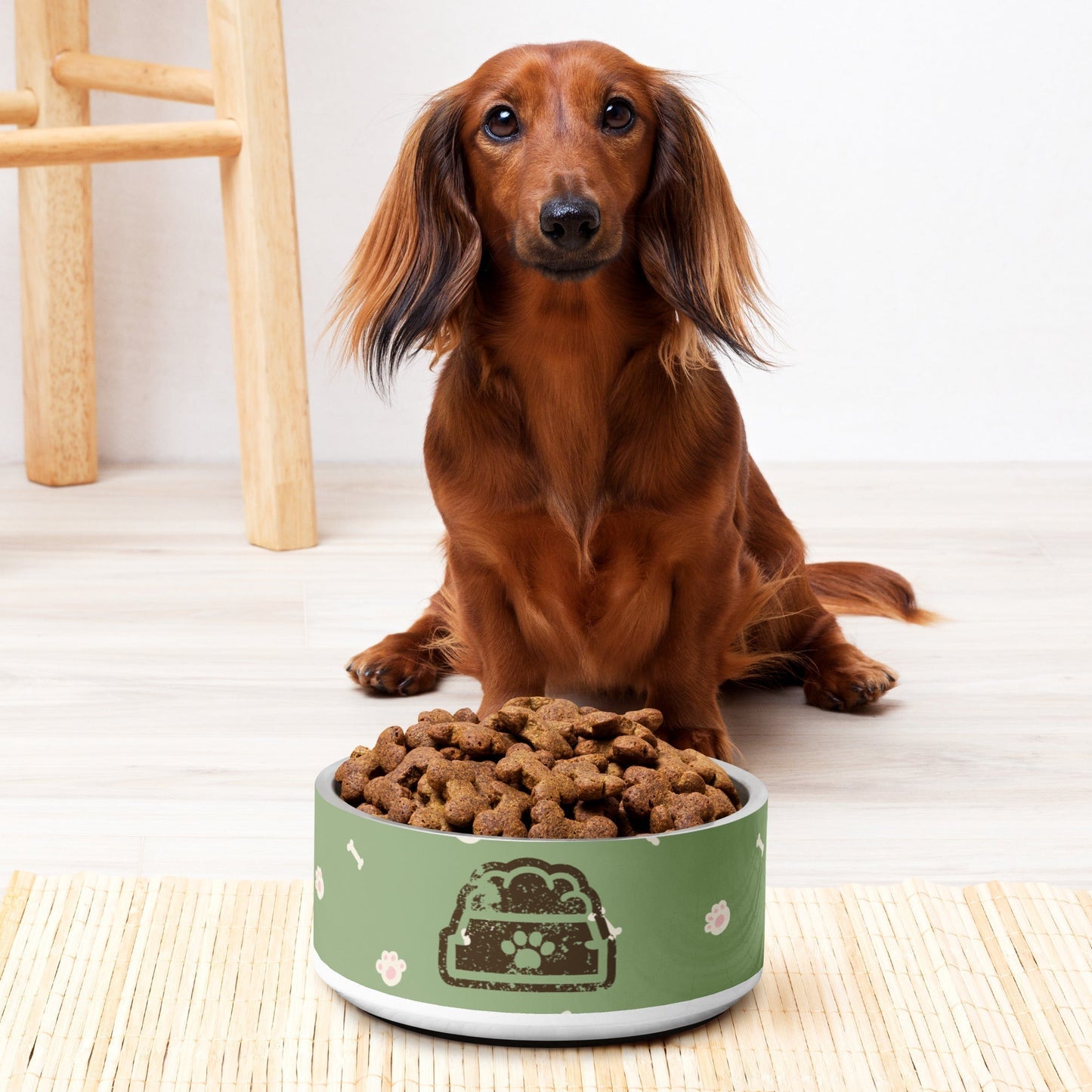 Green Pet Bowl - A Fresh Twist to Pet Dining